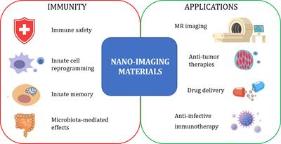 Editorial: Immunological Effects of Nano-Imaging Materials